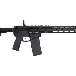Diamondback DB15 5.56mm Semi-Automatic Rifle with M-LOK Handguard