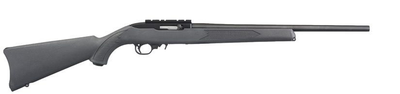 Ruger 10/22 250th Liberty Edition
