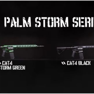 US Palm Storm and EOS Series Make Landfall — New