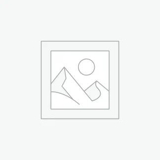 Henry Golden Boy .22 Lever Action - Rifle - Houston Gun Works